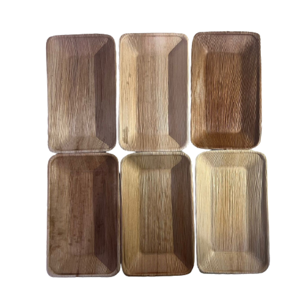 Areca Leaf Lunch Container