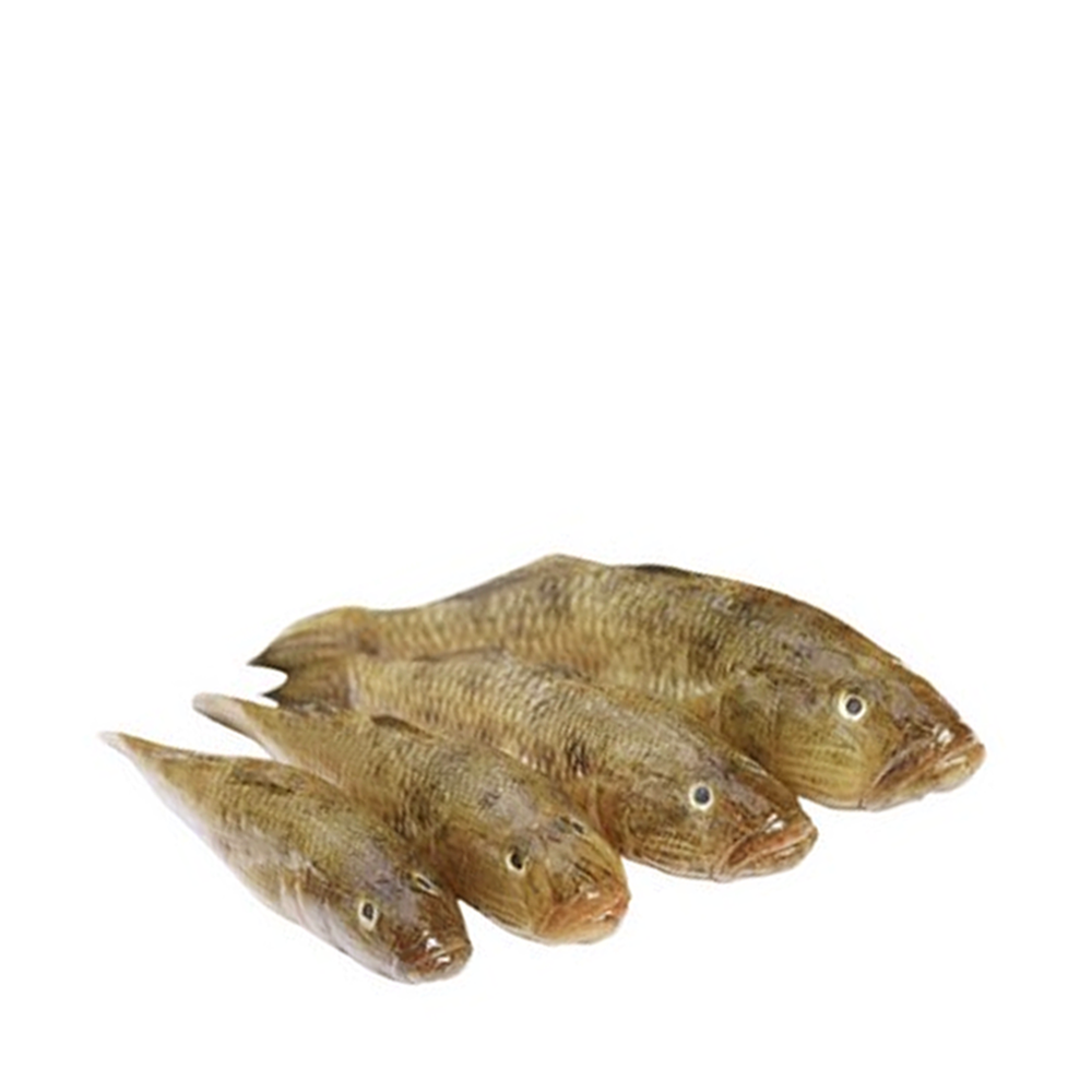 Baila Fish Medium ±30 gm