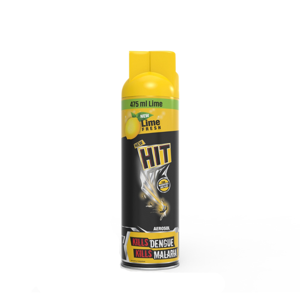 Black Hit Anti Mosquito Aerosol Spray Lime