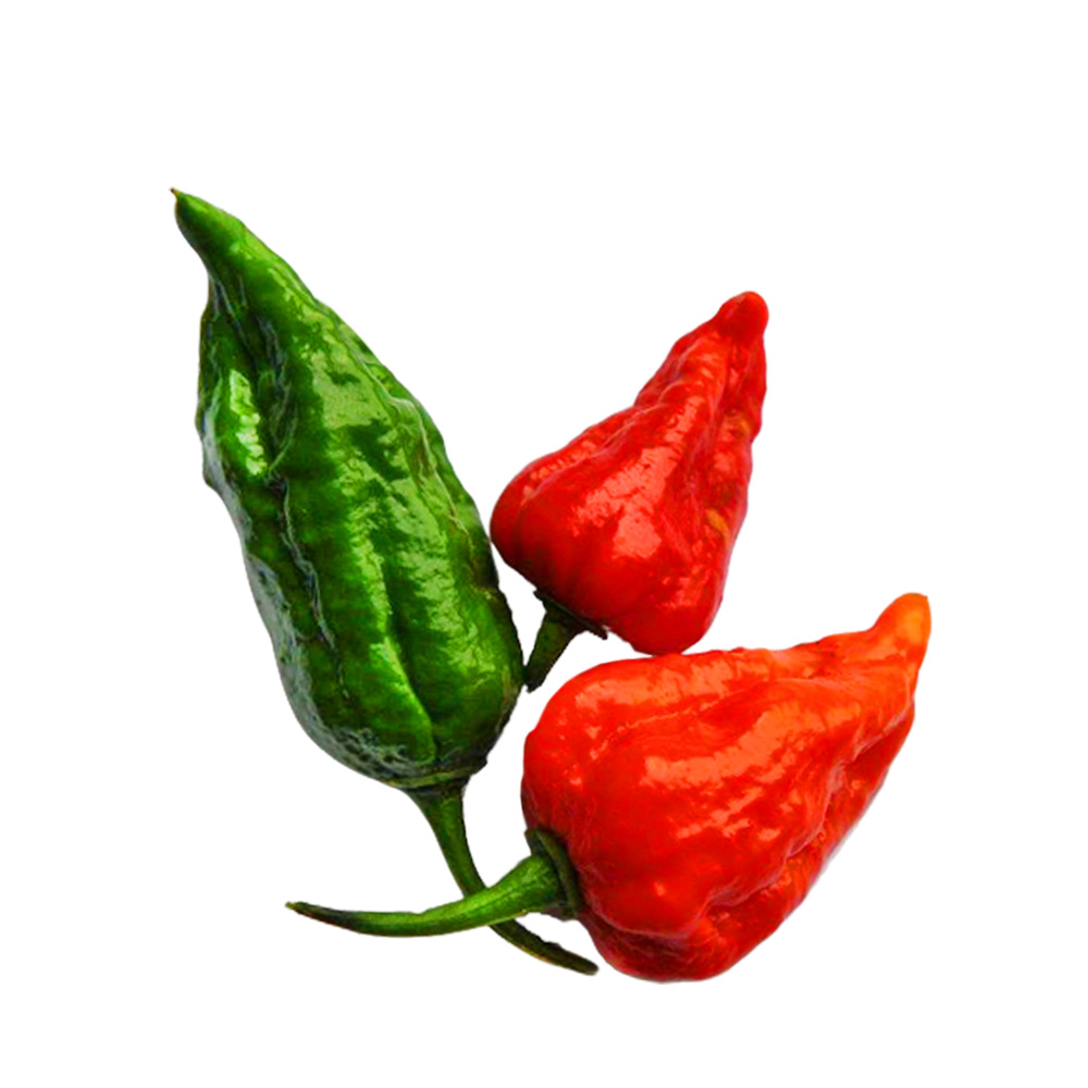 Bombay Chilli