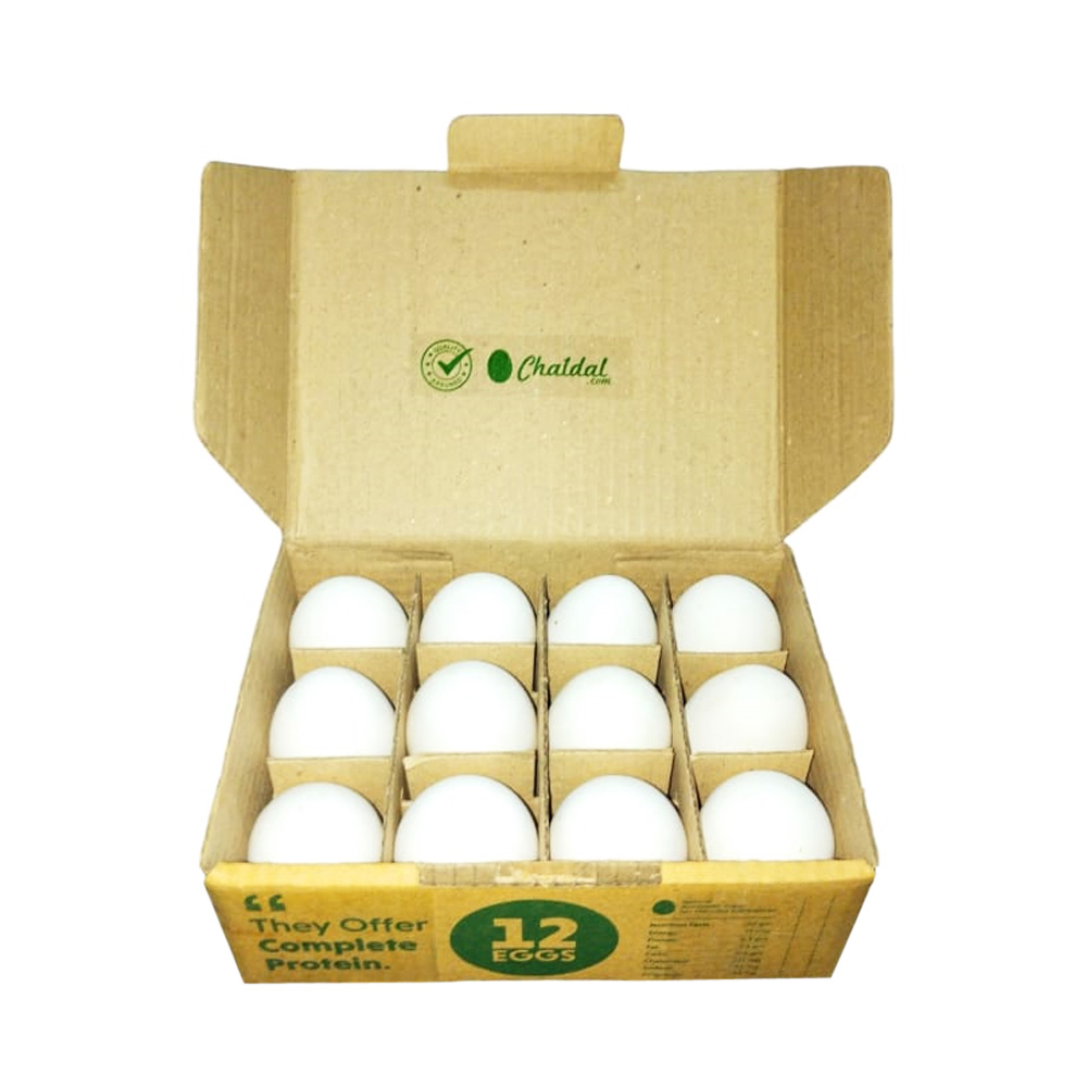 Chicken Eggs Layer (White)