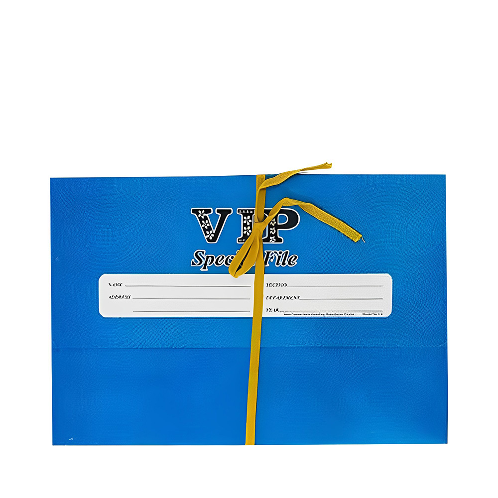 Court File (Blue)