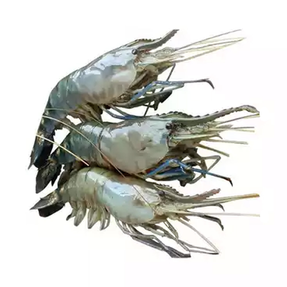 Golda Chingri (Shrimp) 18-22 pcs ±30 gm
