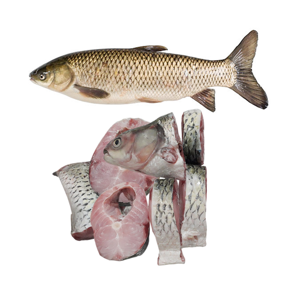 Grass Carp Fish After Cutting ±50 gm
