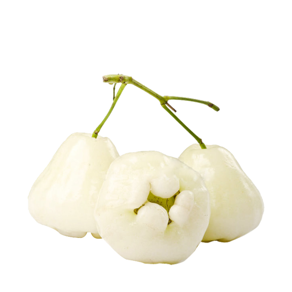 Jamrul (Java Apple White)