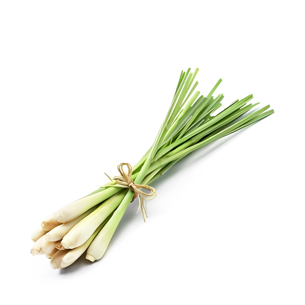 Lemon Grass Stalk ± 12 gm