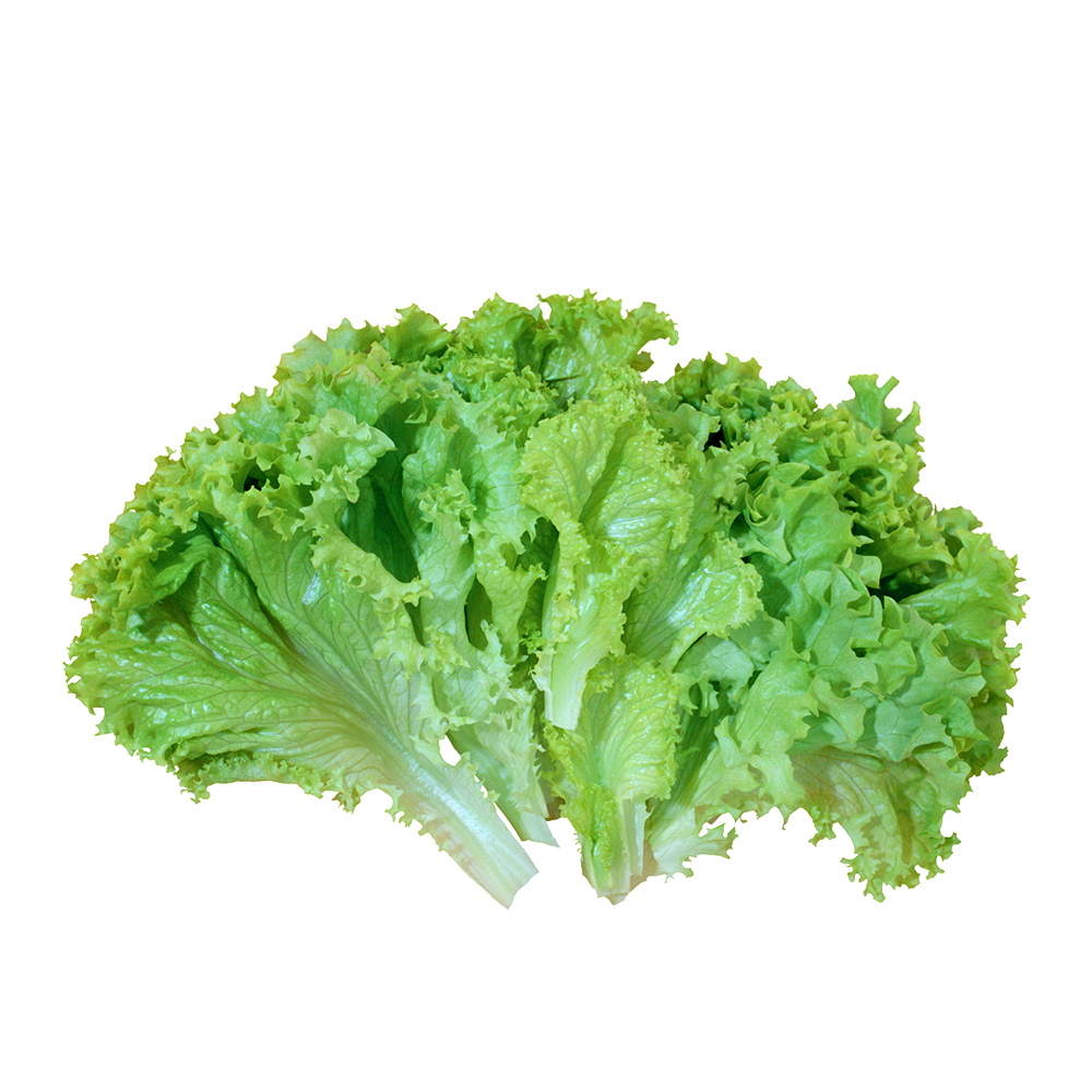 Lettuce Leaves ± 10 gm