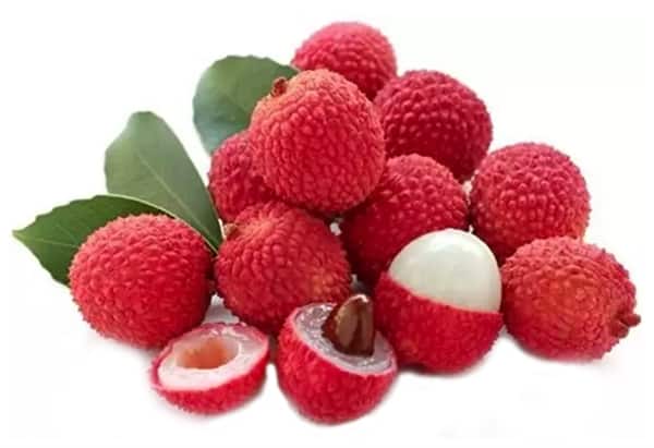 Lychee Premium