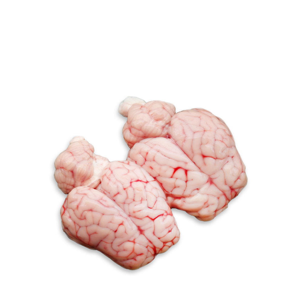 Mutton Brain (Mogoz)