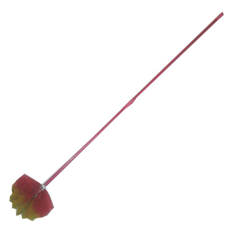 Plastic Red Broom (62") Handle Jhul Jharu (China)