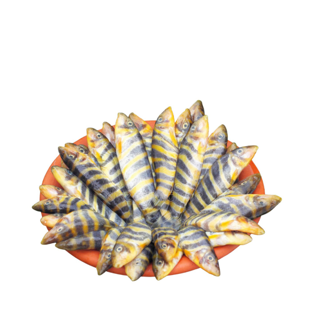 PQS Rani Fish Processed