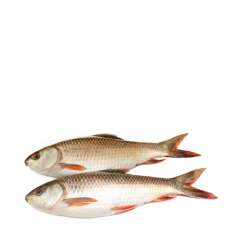 PQS Rohu Fish Processed