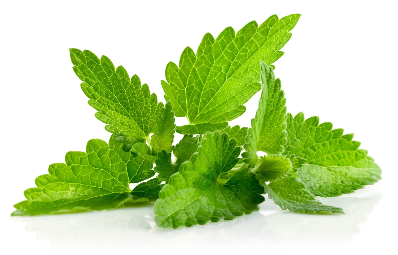 Pudina Pata (Mint Leaves) ± 10 gm