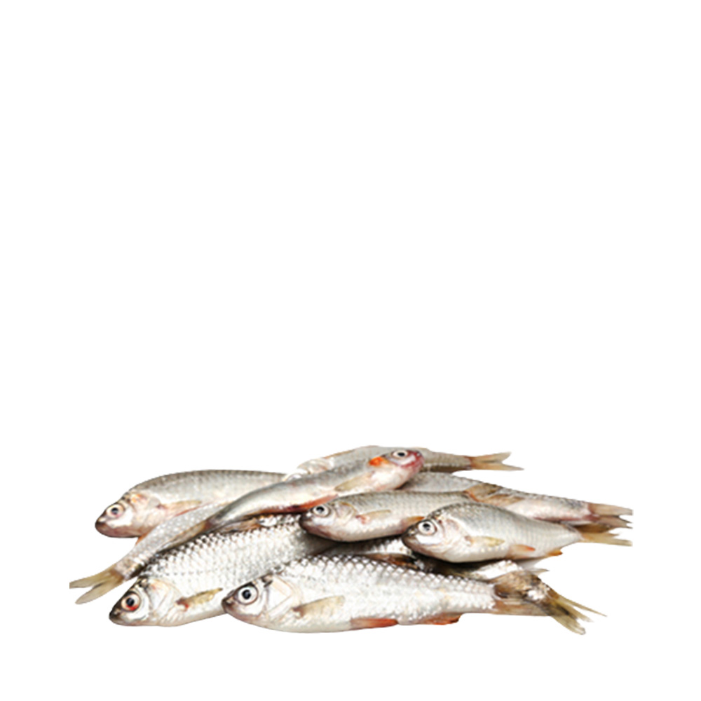 Puti Fish ±15 gm
