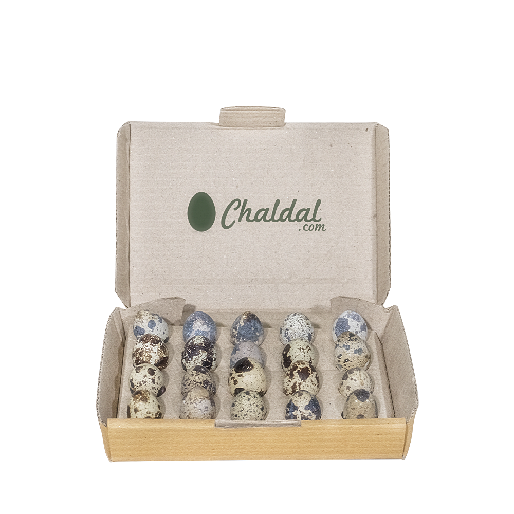 Quail Eggs