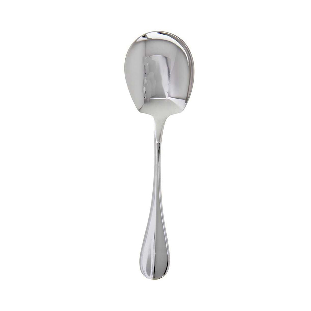 Stainless Steel Rice Spoon
