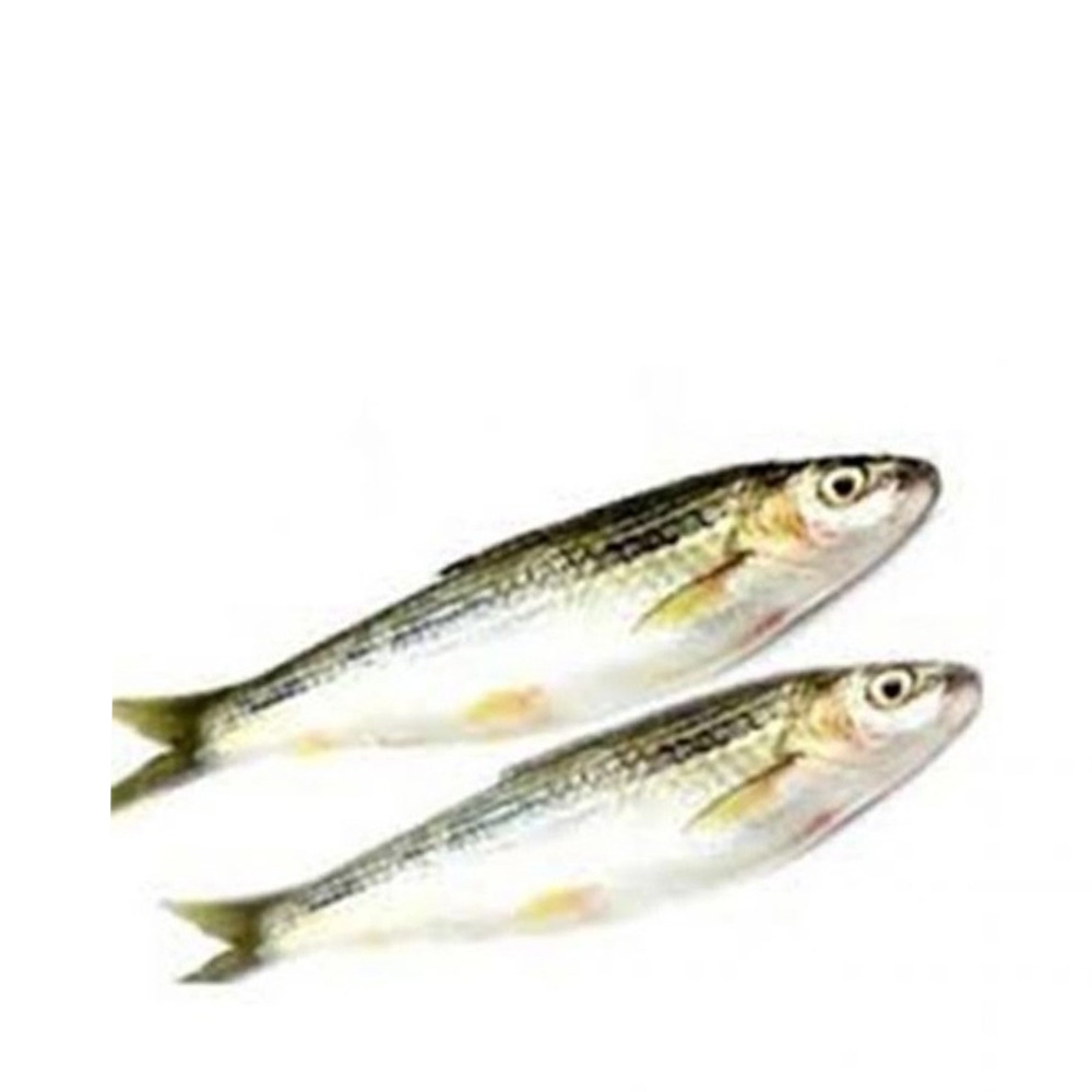 Tatkini Fish ±30 gm