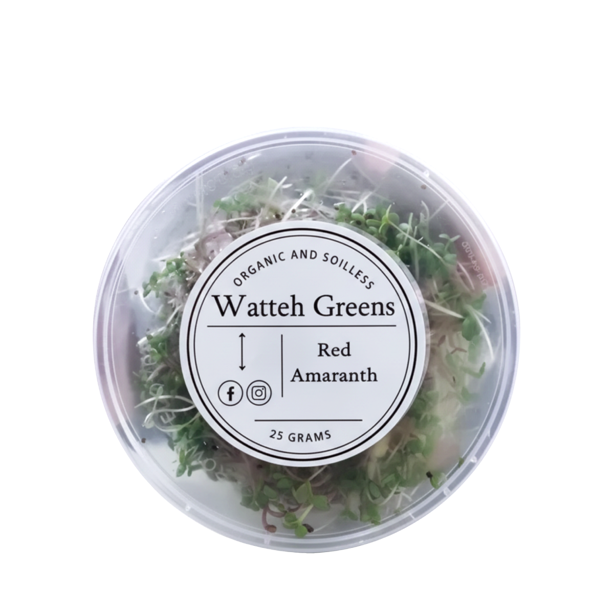 Watteh Greens Red Amaranth Microgreen