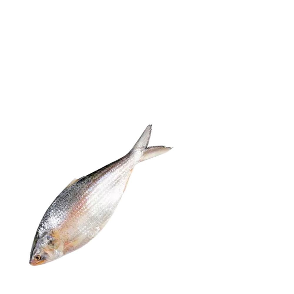 Whole Hilsha Fish (Asto Ilish) ±40 gm