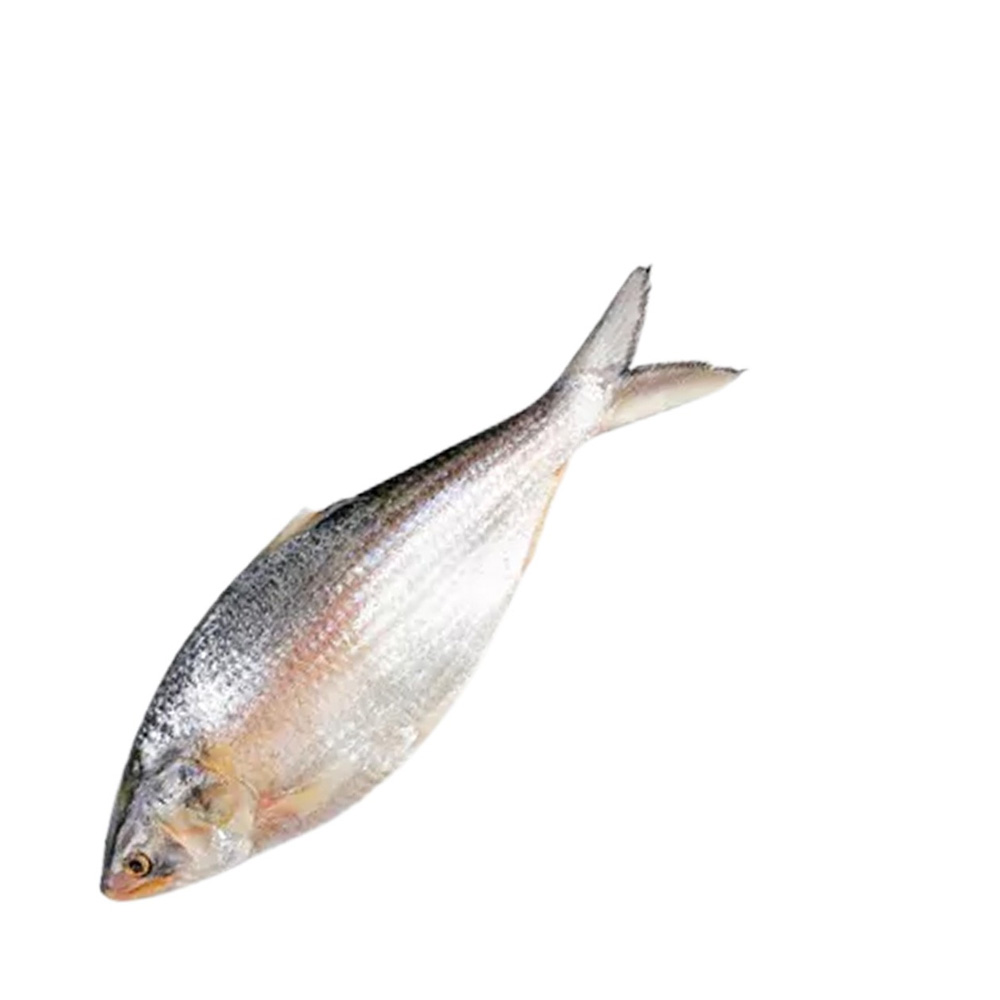 Whole Hilsha Fish (Asto Ilish) ±50 gm