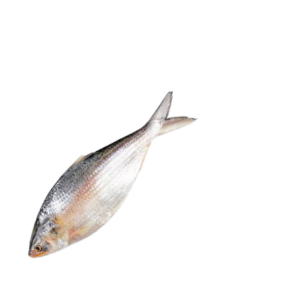 Whole Hilsha Fish (Asto Ilish) ± 50 gm